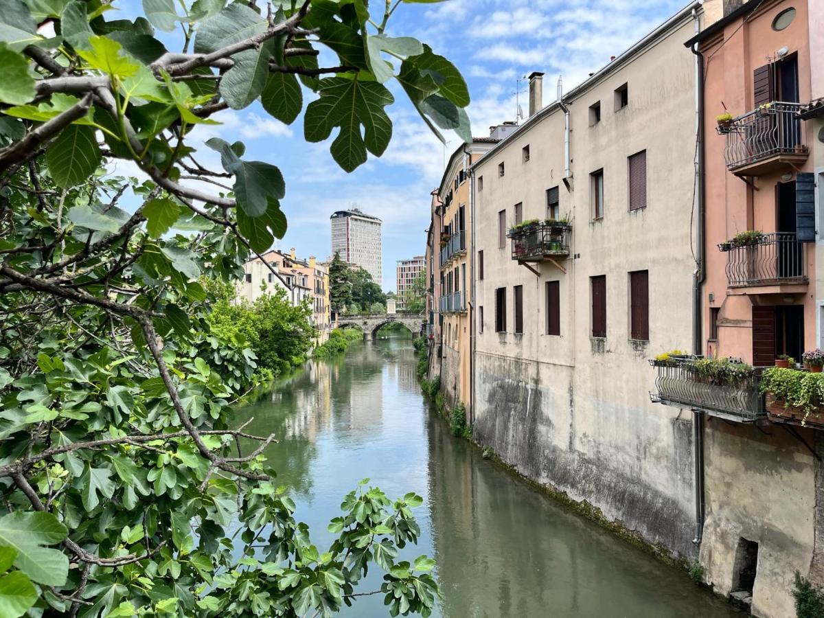 Appartamento Ai Portici Di Via Savonarola Падуя Экстерьер фото